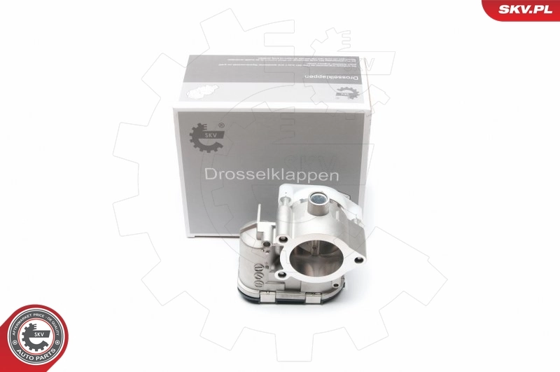 Throttle Body